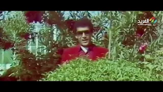 يامطول بالغربة غناء الفنان عبدالرحمن الحداد HD 