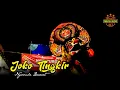 Download Lagu Lagu Viral‼️Joko Tingkir Ngombe Dawet || Versi Jaranan Voc Wiwik fii_NEW TURONGGO SETO