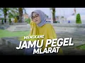 Download Lagu DJ JAMU PEGEL MLARAT JEDAG JEDUG KOPLO | VIRAL TIKTOK