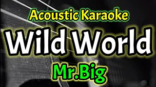 Download [Acoustic Karaoke] Mr.Big - Wild World MP3