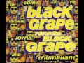 Black Grape - Reverend Black Grape (The Dark Side Mix)