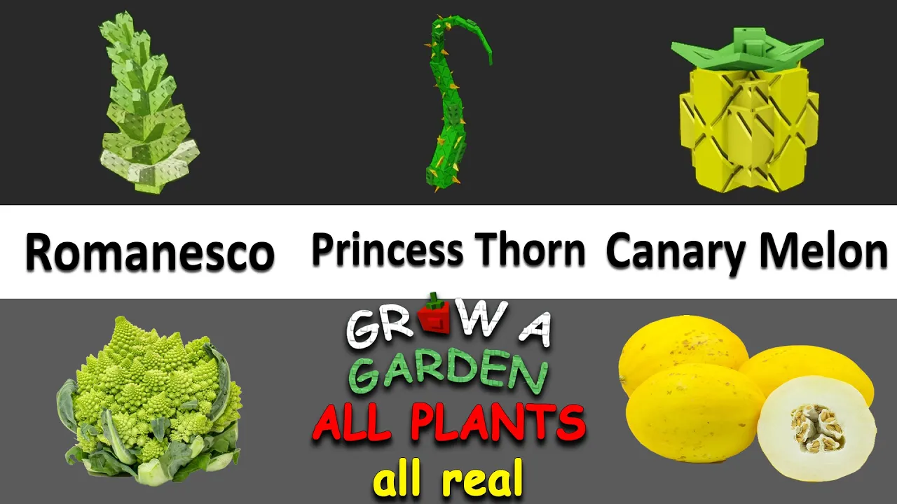 Grow A Garden Roblox ALL Plants (ALL REAL) VS Real Life | Funny Dylan Play