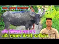 Download Lagu নন্দ ডেকা ম'হটো 🙏 || কেনে আছে চাওঁক || nanda deka moh 😊 #mrblack