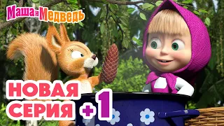 Маша и Медведь 💥 НОВАЯ СЕРИЯ + 1! 💥 День варенья 🍎🍒  Коллекция мультиков про Машу