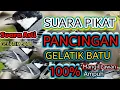 Download Lagu Suara gelatik batu pancingan , suara asli gacor