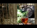 Download Lagu wine Factory in T'bilisi