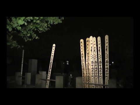 Not Found 24－ネットから削除された禁断動画－