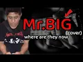 Download Lagu Mr.Big Where are the now