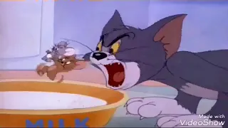 شيلات توم وجيري جمره على كبد العدا 