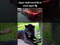 Lagu The jag that sounds like a jaguar 🐆 💨 #hypercar #supercars #shorts #hybrid #speed