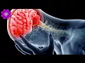 Traumatic Brain Injury Recovery Binaural Beats Delta Binaural Beats TBI Healing Sound Therapy