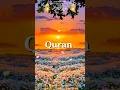 Download Lagu SURAH AT-TAHRIM 66:8 📖. “RETURN TO ALLAH ﷻ WITH A SINCERE HEART' ❤️|