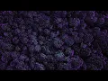 Download Lagu Clams Casino - Cupidwing (Moon Trip Radio Official)