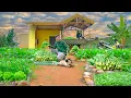 Download Lagu CEO Harvests Vegetables For Young Sister To Sell At The Market, Installs New Window \u0026 Lays Floor.