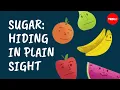 Download Lagu Sugar: Hiding in plain sight - Robert Lustig