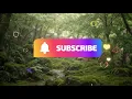 森林深處的寂靜，尋找內在平衡｜Forest Stillness, Finding Inner Balance🌿 Pure Relaxation Zen Music 🧘‍♂️ #healing