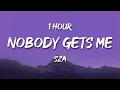 [1 HOUR] SZA - Nobody Gets Me (Lyrics)