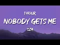 Download Lagu [1 HOUR] SZA - Nobody Gets Me (Lyrics)