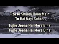 Download Lagu Bhula Dena |  Aashiqui 2 | Mustafa Zahid |Lyrics