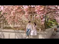 Playlist 카페에서 듣기 좋은 봄 플레이리스트 🎵 벚꽃 아래에서 듣는 감성팝 🌸  카페음악, 매장음악, 노동요, BGM