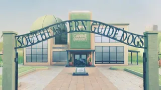 pip a short animatad film by southeastern guide dogs cartoon status