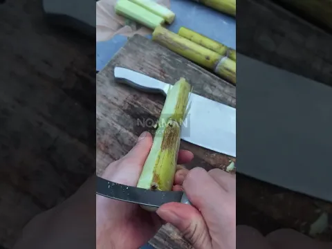Peeling Yellow Sugarcane 🎋 #noamanreaction #asmr #satisfying