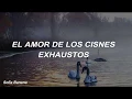 Download Lagu dimash kudaibergen - cisnes - español.