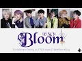 ENOi - Bloom (Color coded lyrics Han|Rom|Eng 가사)