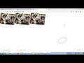 WT Unit3-06 How to Use External CSS and Java Script Part 2