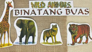 Download WILD ANIMALS IN ENGLISH // Belajar nama-nama bintang dalam  bahasa Inggris MP3