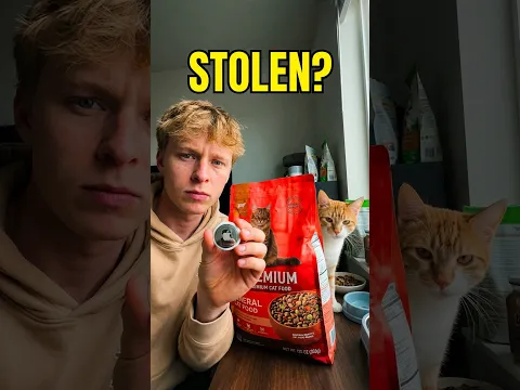 AirTag vs Cat Food