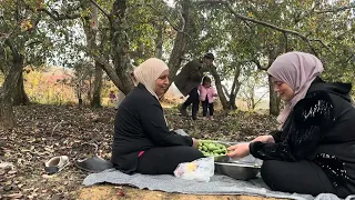 قطفنا التفاح من بساتين الجبل وحضرنا كوسا محشي على نار الحطب أجواء ريفية بطعم الطبيعة اللبنانية 