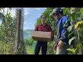 Download Lagu Unexpectedly received a gift. Ngoan and her two children were really happy.
