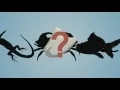 Top 5 Evolution Misconceptions
