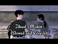 Zihaal e Miskin Lofi