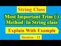 What Is trim method Importance and use In String class Javamindtechie
