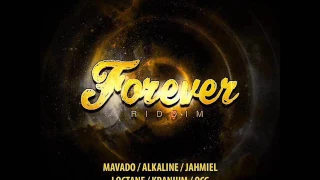 forever riddim mix feat alkaline mavado i octane armz house records march 2017 