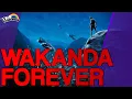 Benches in Wakanda Are Worth a Billion Dollars Wiki Weekends