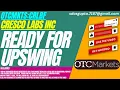 READY FOR UPSWING CRLBF STOCK ANALYSIS CRESCO LABS STOCK