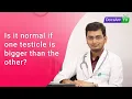 Is it normal if one Testicle is Bigger than the other