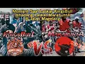 Download Lagu Koreografi Raungan Knalpot Kampanye PDI Magelang Banteng Metu Kandang 3 || Marabunta Vs King's Bull