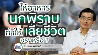 ใครมีความเสี่ยงสูงต่อการติดเชื้อราในสมองจากนกพิราบ