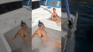 Wet Ride! #shorts #catamaran #wet #sailing