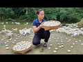 Download Lagu Harvest Duck Eggs Goes to the market sell - Cooking - Live with nature