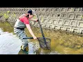 Download Lagu Flipping a Sunken Pipe Inside a Japanese River in Mie to Catch Wild Eels!
