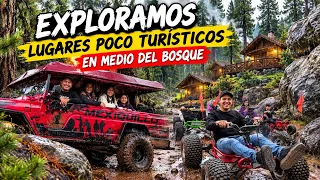 Explorando lugares poco turísticos en medio del bosque