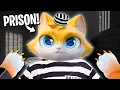 Naughty Cat goes to PRISON I am Cat Full Game
