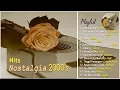 Download Lagu Noah, Taxi, Kerispatih, The Fly, Naff - 15 Lagu POP Nostalgia  Paling Galau