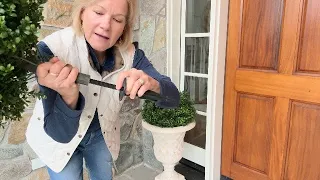 Do these Artificial Boxwood Topiary Set of 2 Look FAKE or REAL