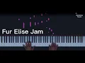 Fur Elise Jam